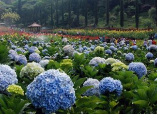 taman selecta malang