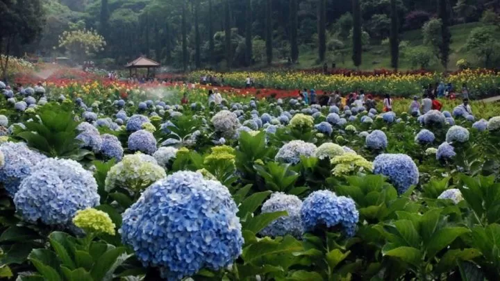 taman selecta malang